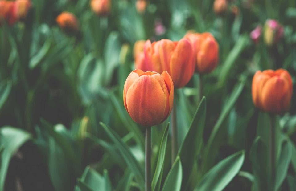 Grey Light